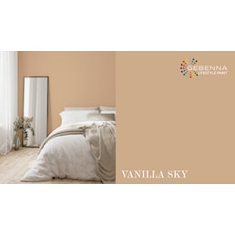 VANILLA SKY.jpg
